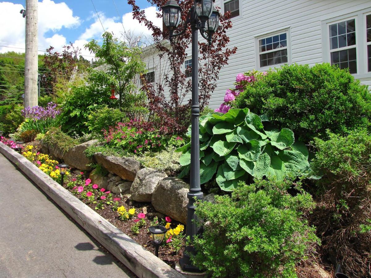 Larinda'S Landing Oceanfront Cottages Halifax Exteriör bild